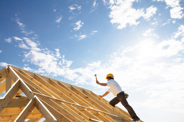 Best Asphalt Shingle Roofing  in Lewisville, TX